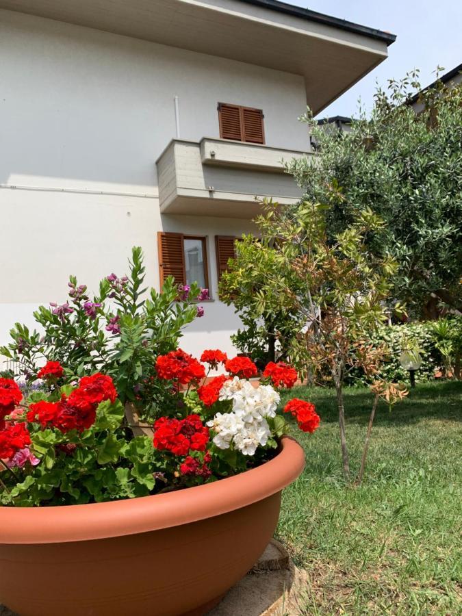 Brezza Affittacamere Montemarciano Εξωτερικό φωτογραφία